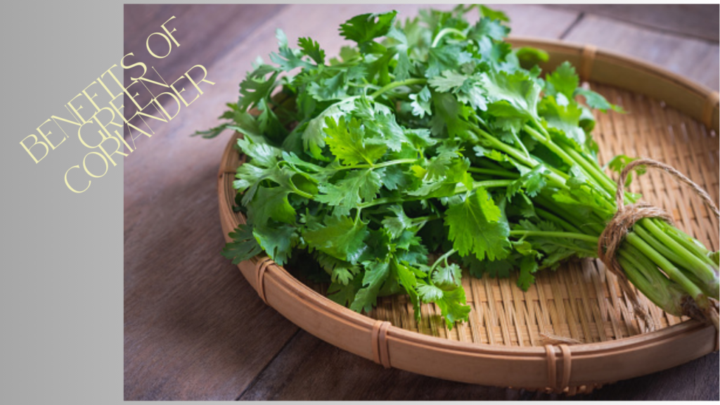 benefits of Green Coriander 2