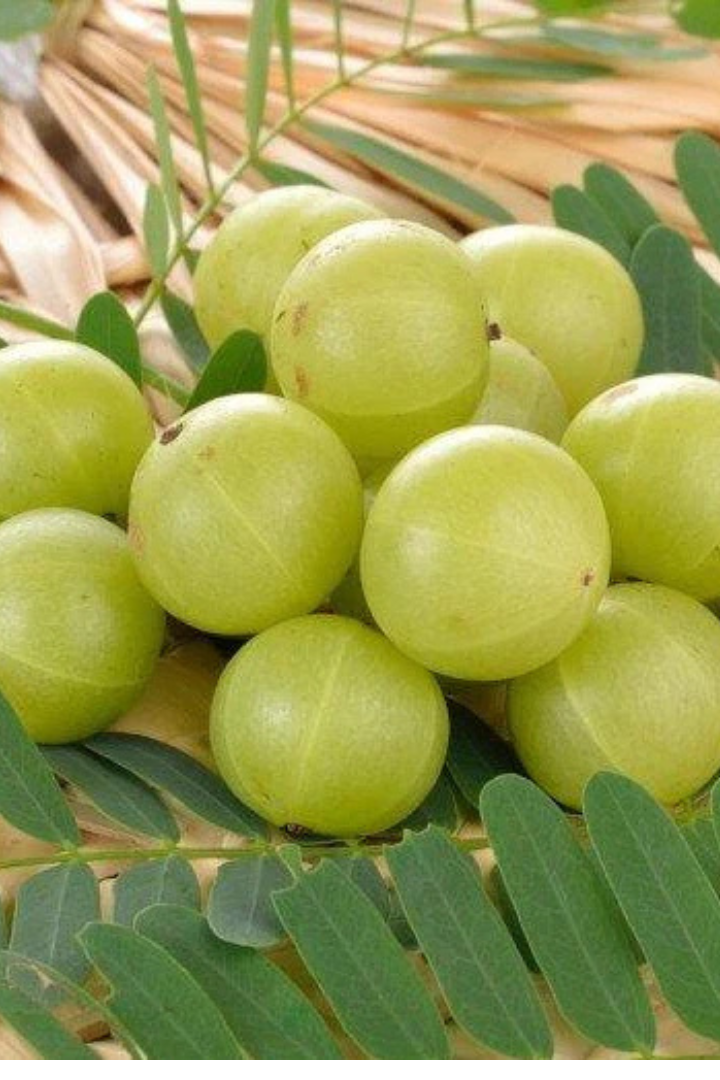 Amla Benefits